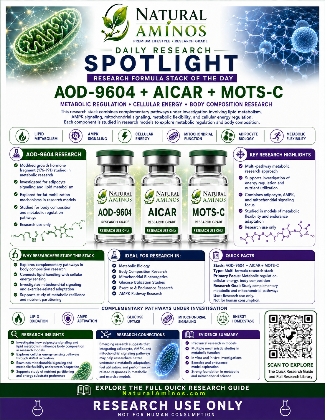AOD-9604 + AICAR + MOTS-c research graphic